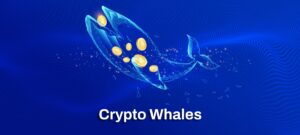 The Whales of Crypto – Top 10 Bitcoin Holders